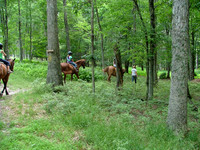 horses0727