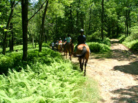 activities0729