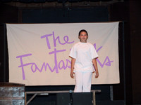 fantastiks