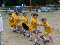 tugofwar